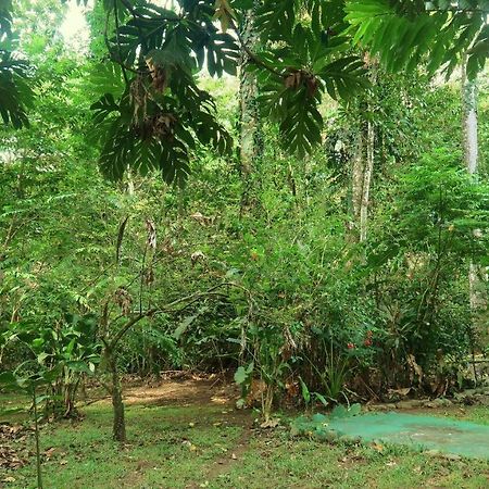 Casa Moabi Bed & Breakfast Cocles Bagian luar foto