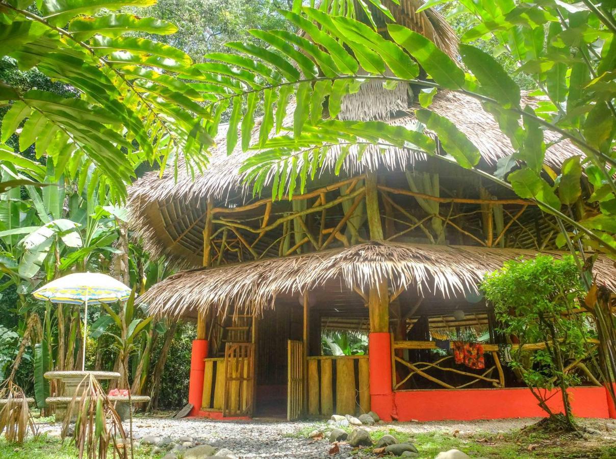Casa Moabi Bed & Breakfast Cocles Ruang foto