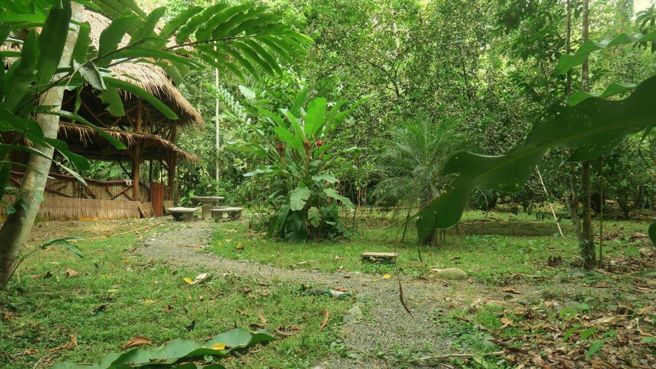 Casa Moabi Bed & Breakfast Cocles Bagian luar foto