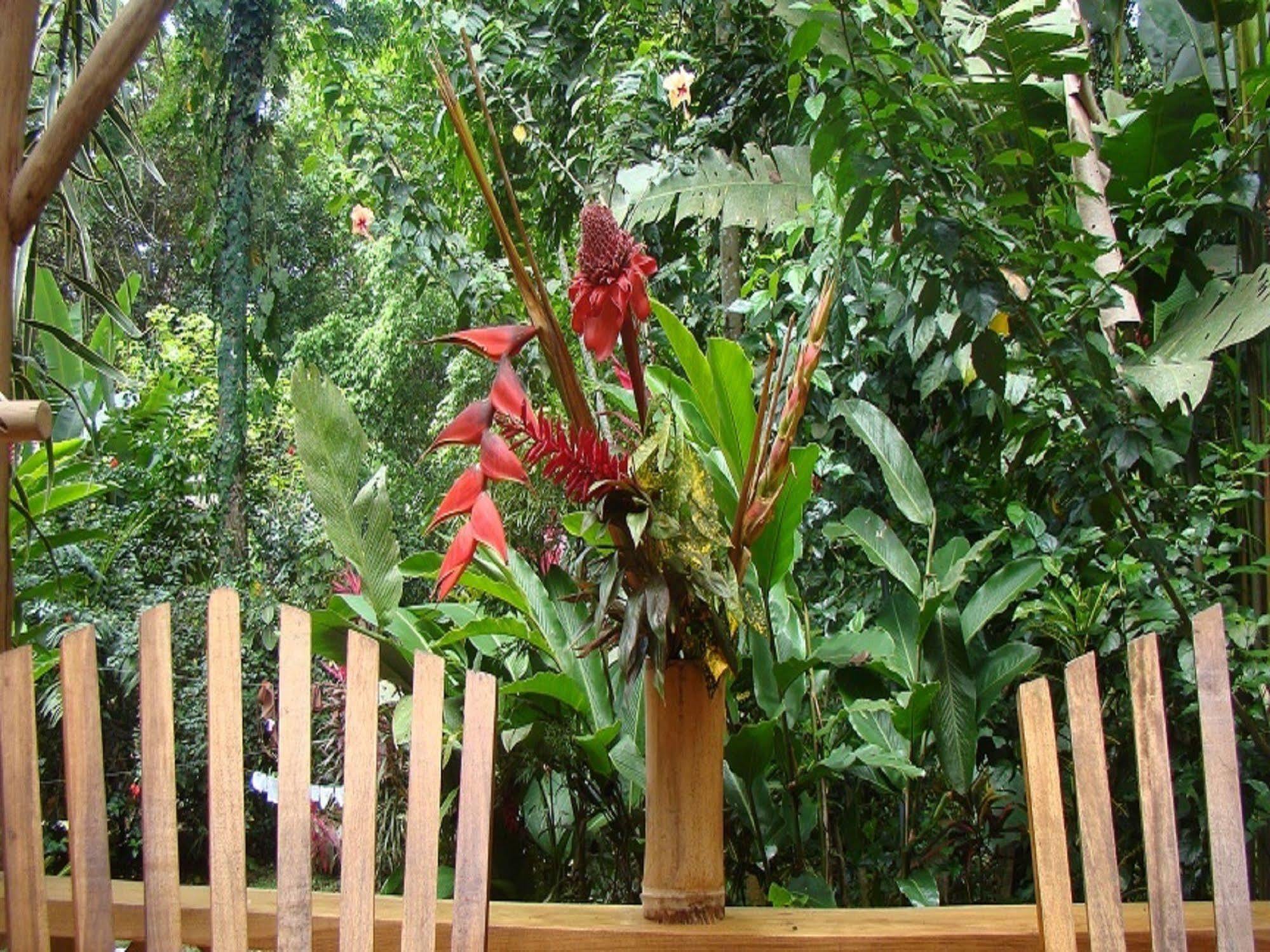 Casa Moabi Bed & Breakfast Cocles Bagian luar foto