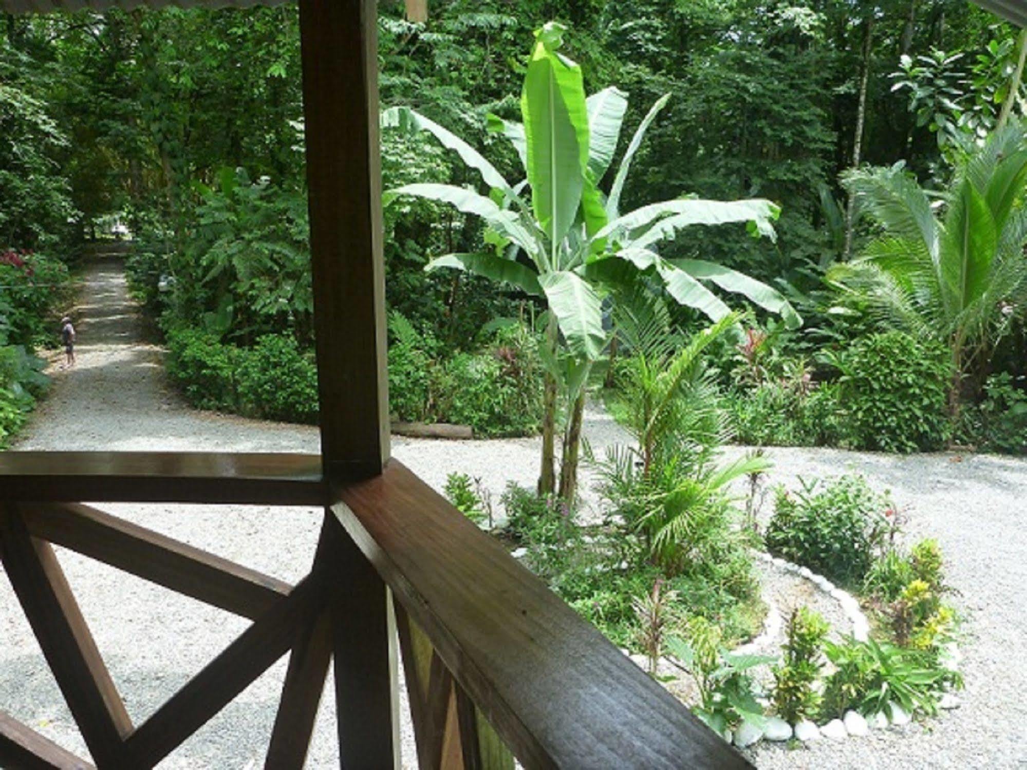 Casa Moabi Bed & Breakfast Cocles Bagian luar foto