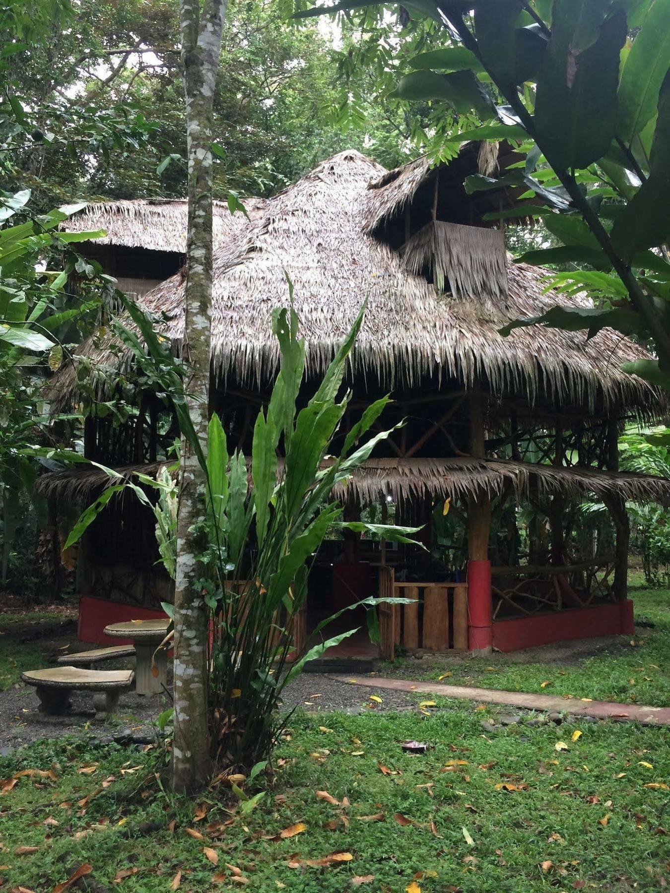 Casa Moabi Bed & Breakfast Cocles Bagian luar foto