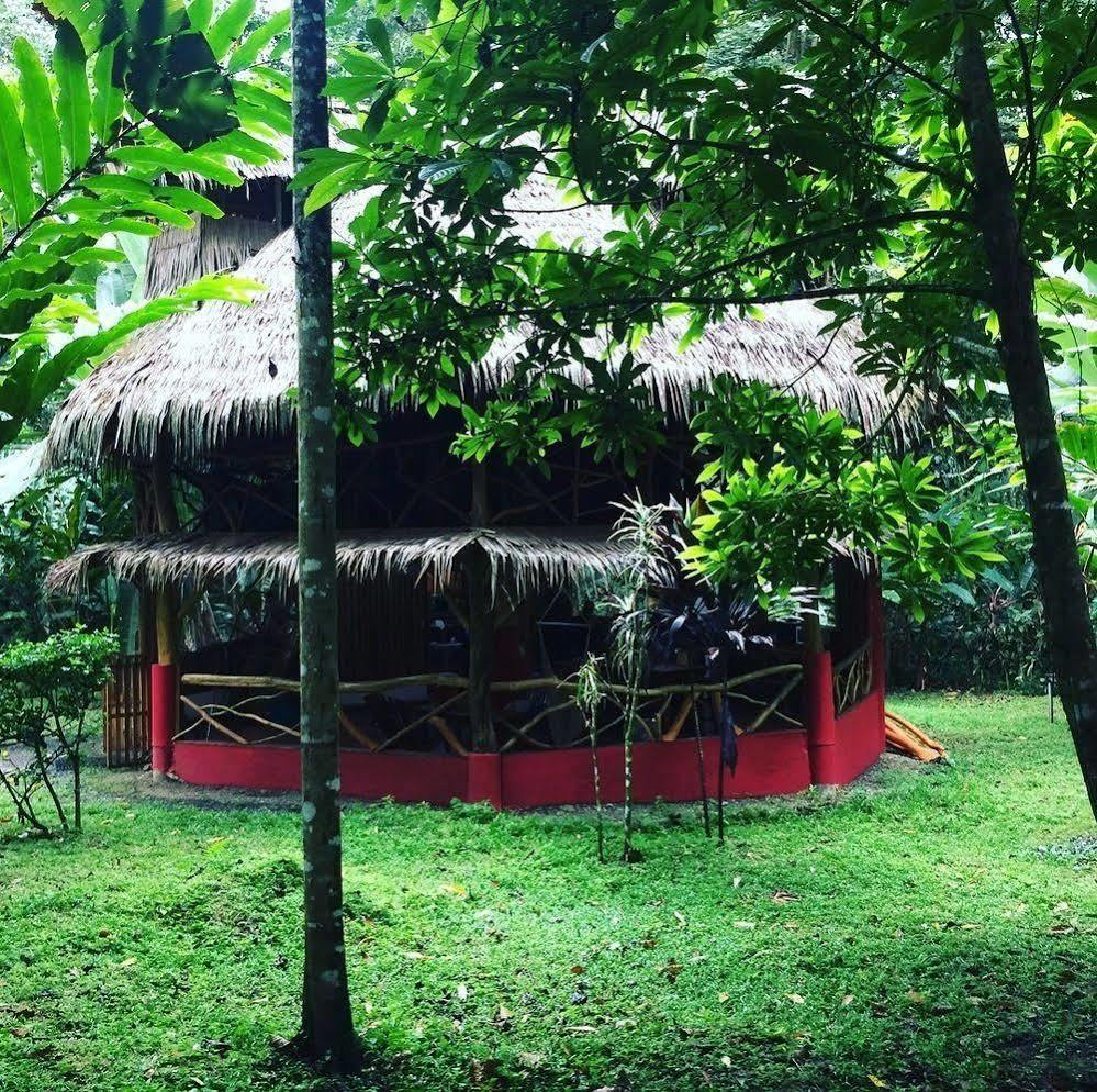 Casa Moabi Bed & Breakfast Cocles Bagian luar foto